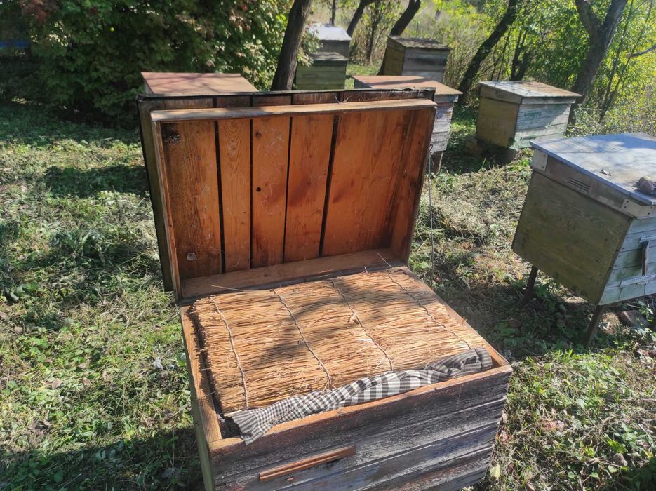 Вулики для бджіл