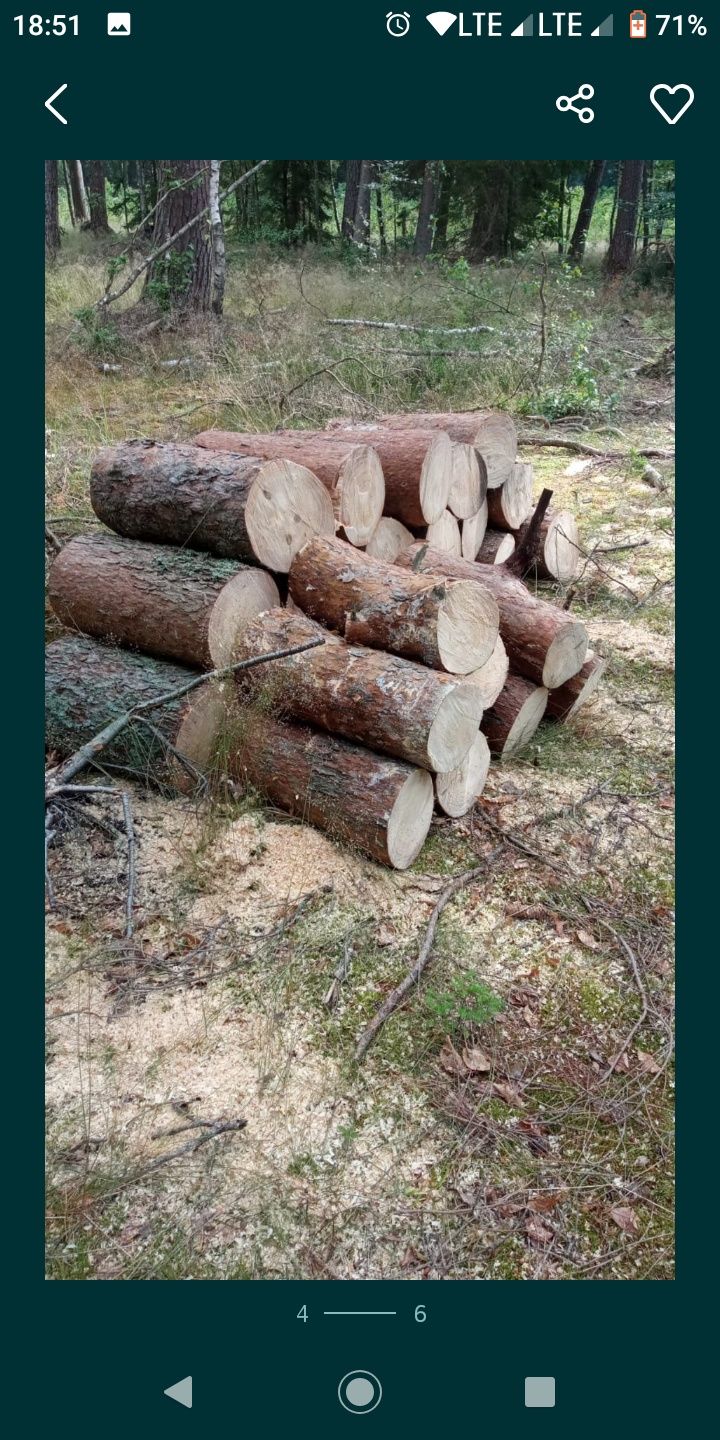 Drewno rąbane 200zl