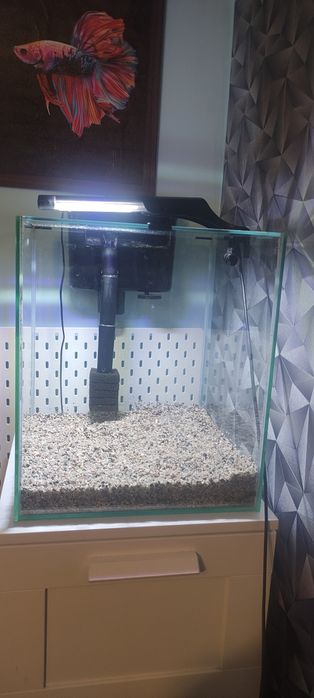 Akwarium 49 l zestaw  aquael shrimp set Duo