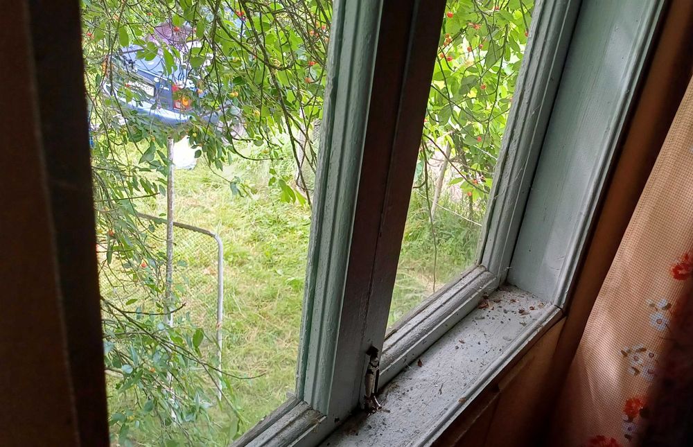 Терміново продам цегляний дачний будинок з гаражем і садом