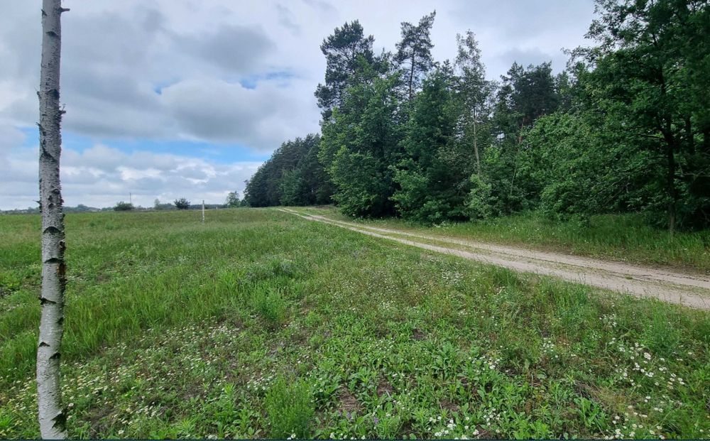 Ділянка під лісом в Микуличі