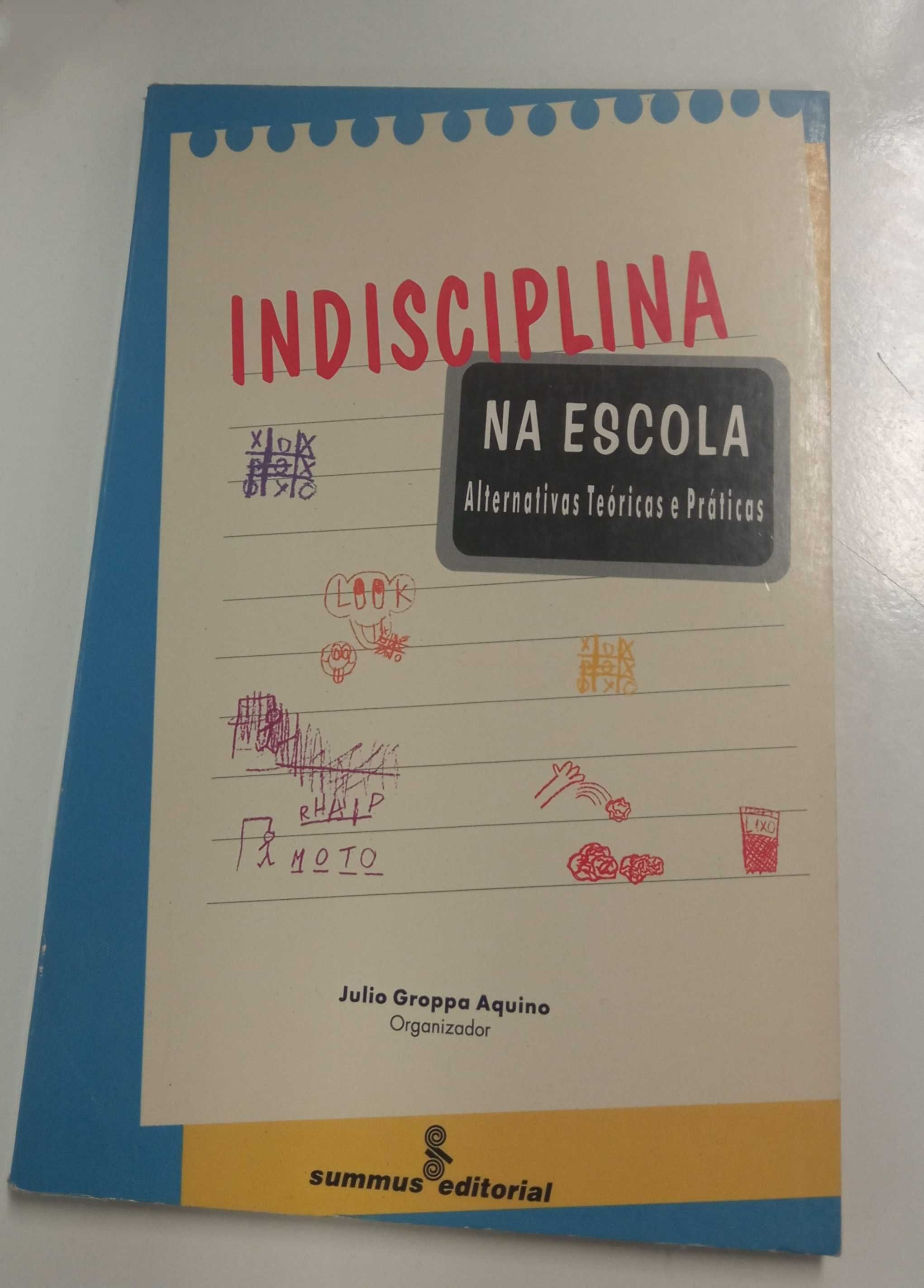 Indisciplina na escola: alternativas teóricas e práticas