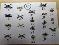 Simbologia Militar - Pins Militares