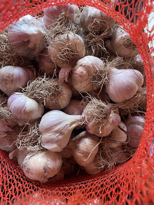 Czosnek mix 2kg