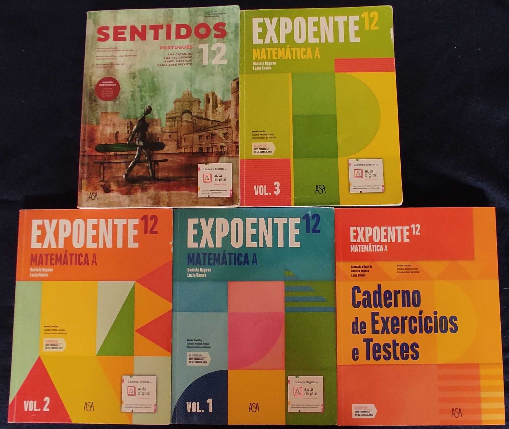 Livros Escolares 12 ano