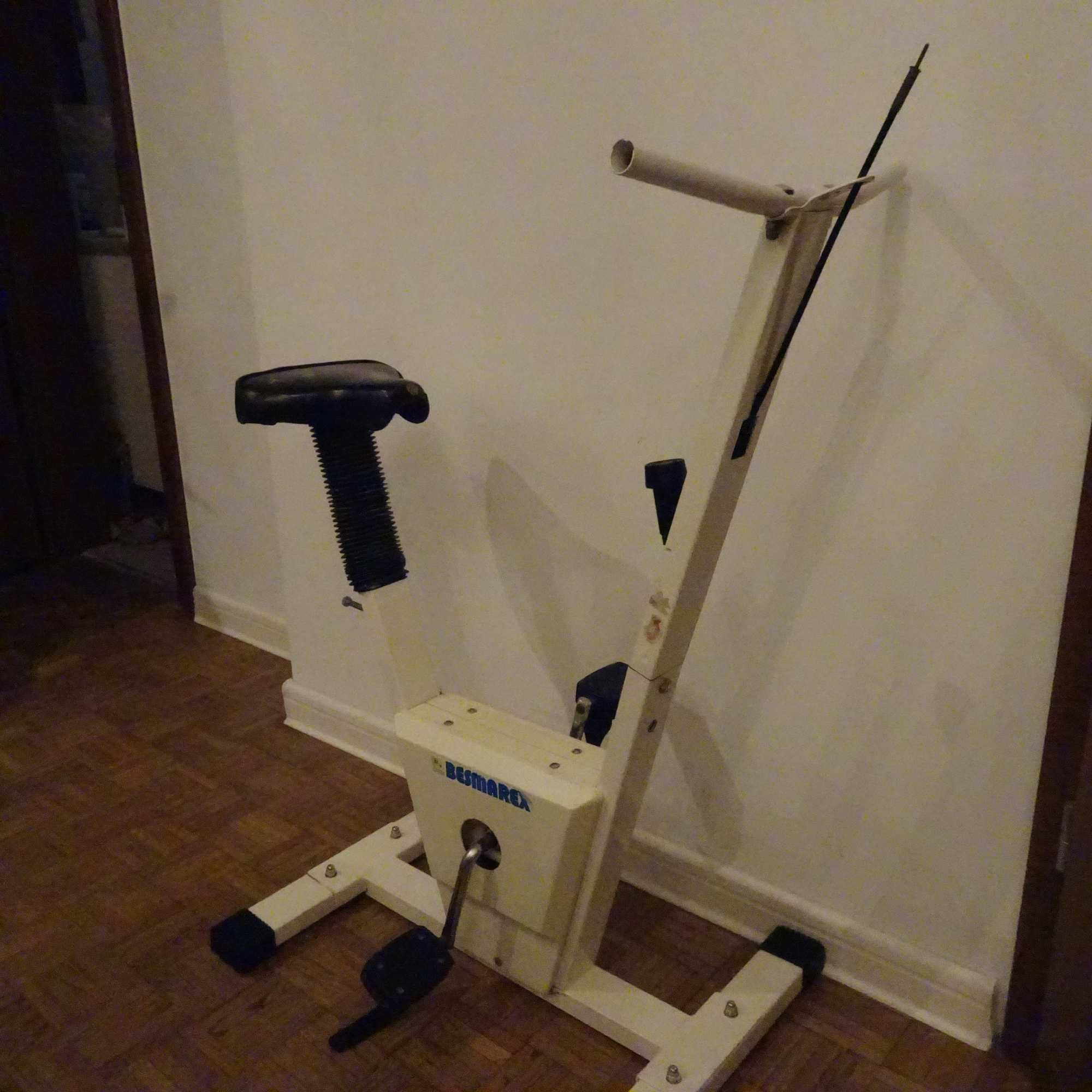 Rower treningowy Besmarex