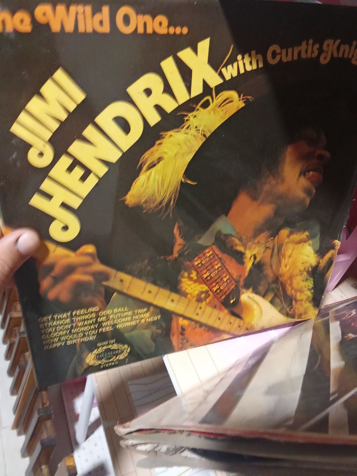 Vinyl's colecção LP, cerca 200