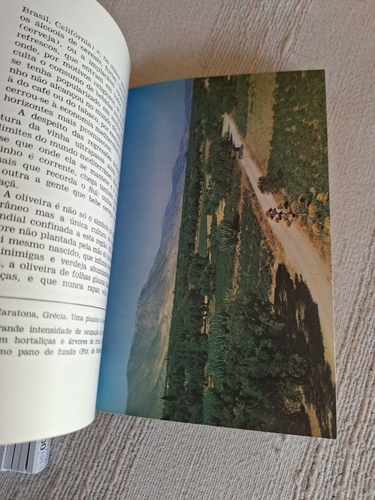 Mediterrâneo. Ambiente e Tradição Orlando Ribeiro livro muito estimado