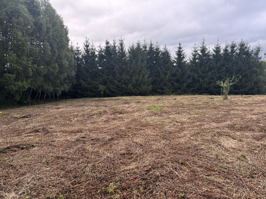 Dzialka Strzyżów Brzeżanka