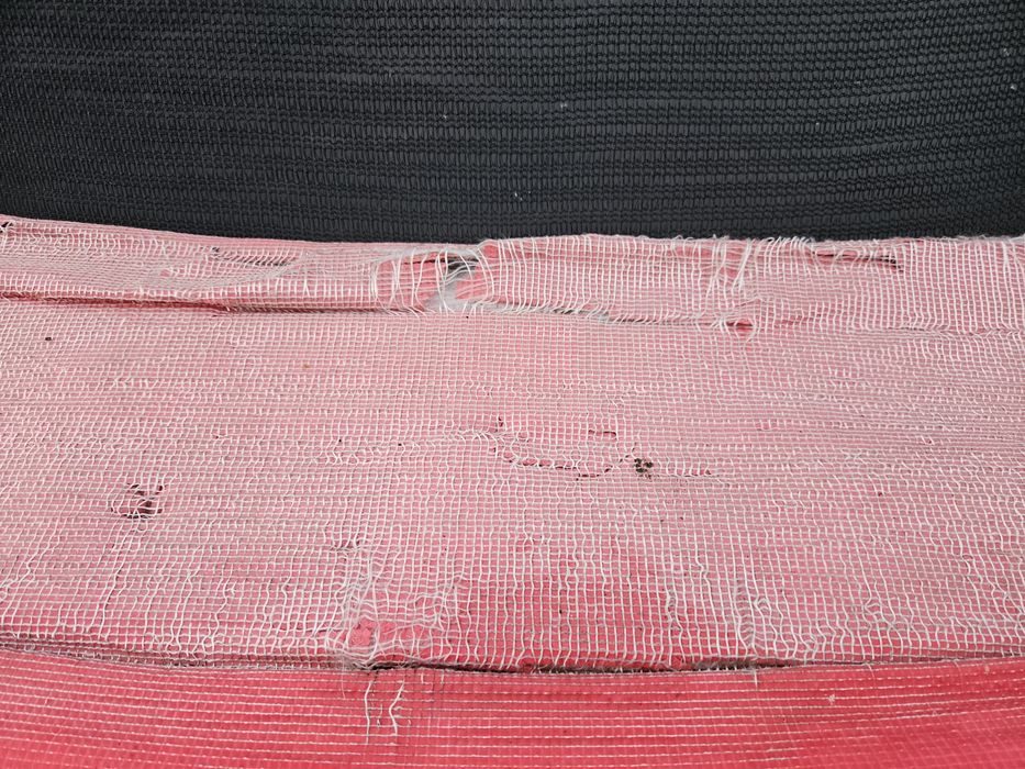Trampolina goliath