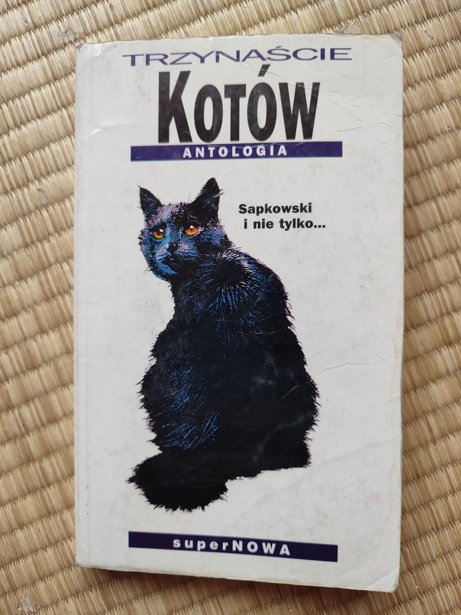 Trzynaście kotów. Antologia