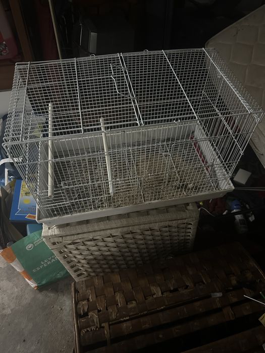 Gaiola grande tenho 2 o preco e das 2
