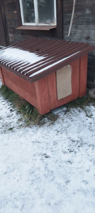 Buda psa nie używana