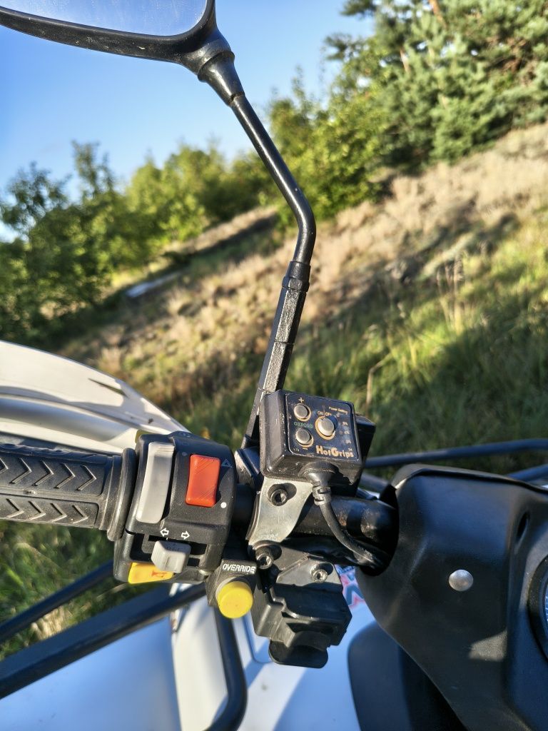 Cectek gladiator