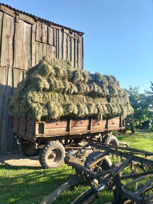 Продам Сіно в тюках