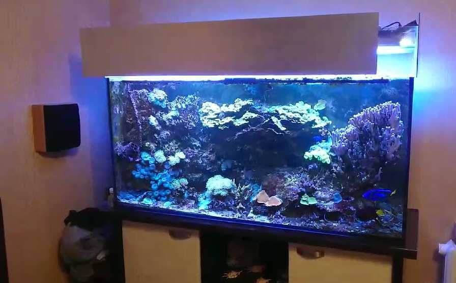 Морской аквариум 600 литров + самп +свет (пустой)