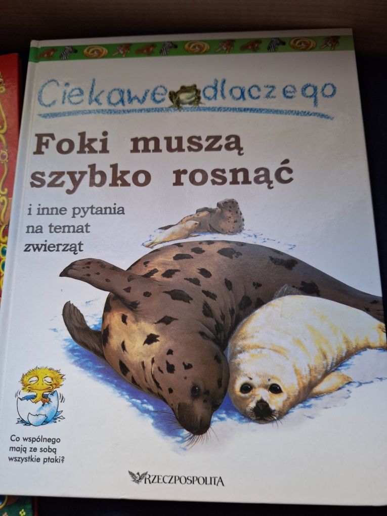 Zestaw książki dla dzieci 5 sztuk