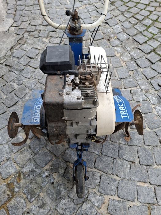 Motoenchada Briggs e Stratton