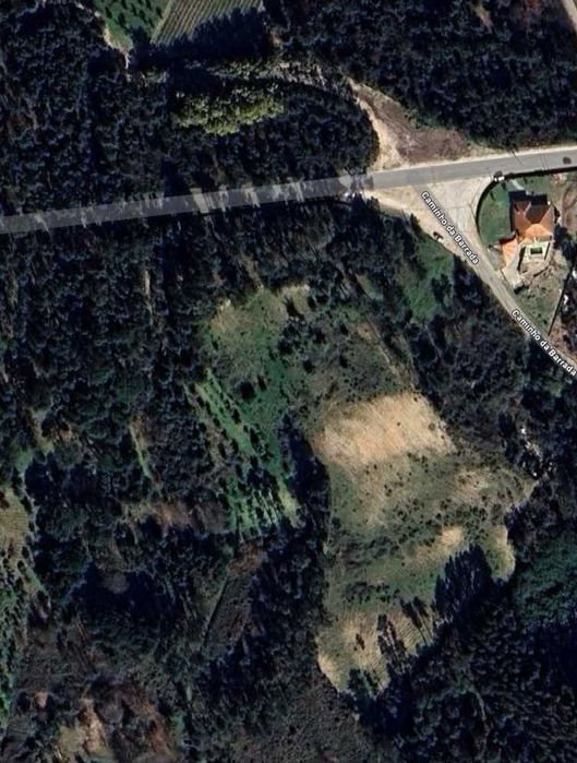 TERRENO com 15000 m2 - Nelas