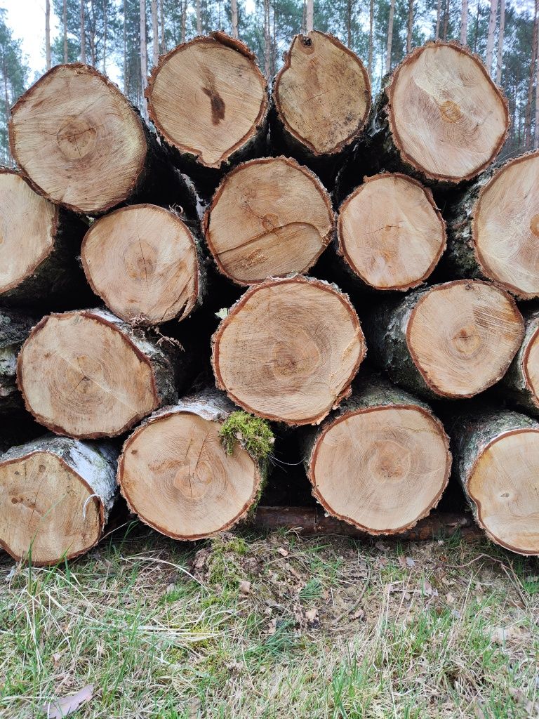 Sprzedam drewno kominkowe