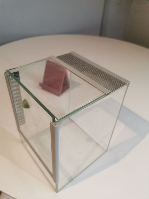 Dekoracja do dokończenia