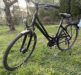 Rower Damski Damka Rayleigh Executive 21  przerzutki 21