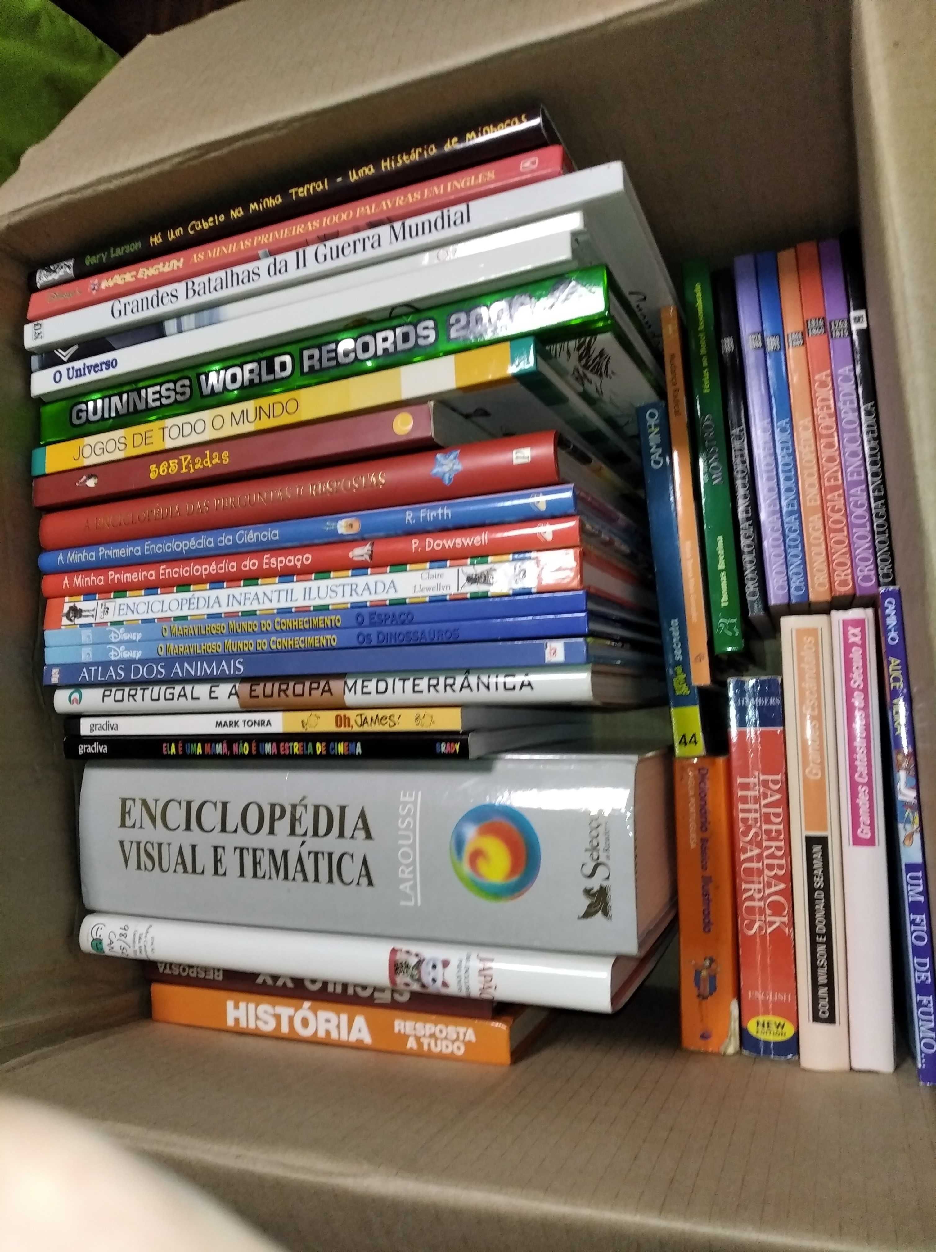 Vários Livros, Dicionários e Enciclopédia Visual e Temática Larousse