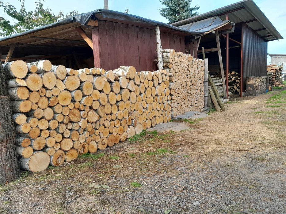 Drewno kominkowe brzoza