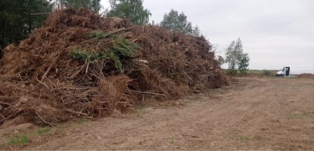 Wycinka lasów karczowanie wyrywanie korzeni