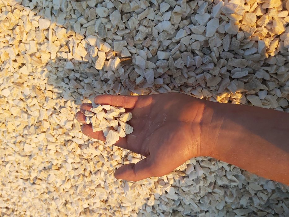 Grys dalmatynczyk, granit, kamień ozdobny, ogrodowy, kora, Big-bag