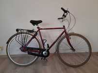 rower Giant Avant