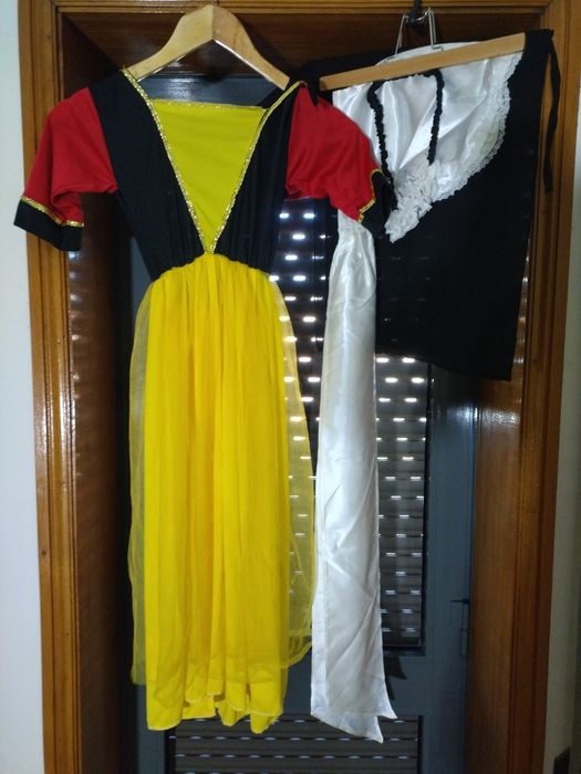 Traje de carnaval completo