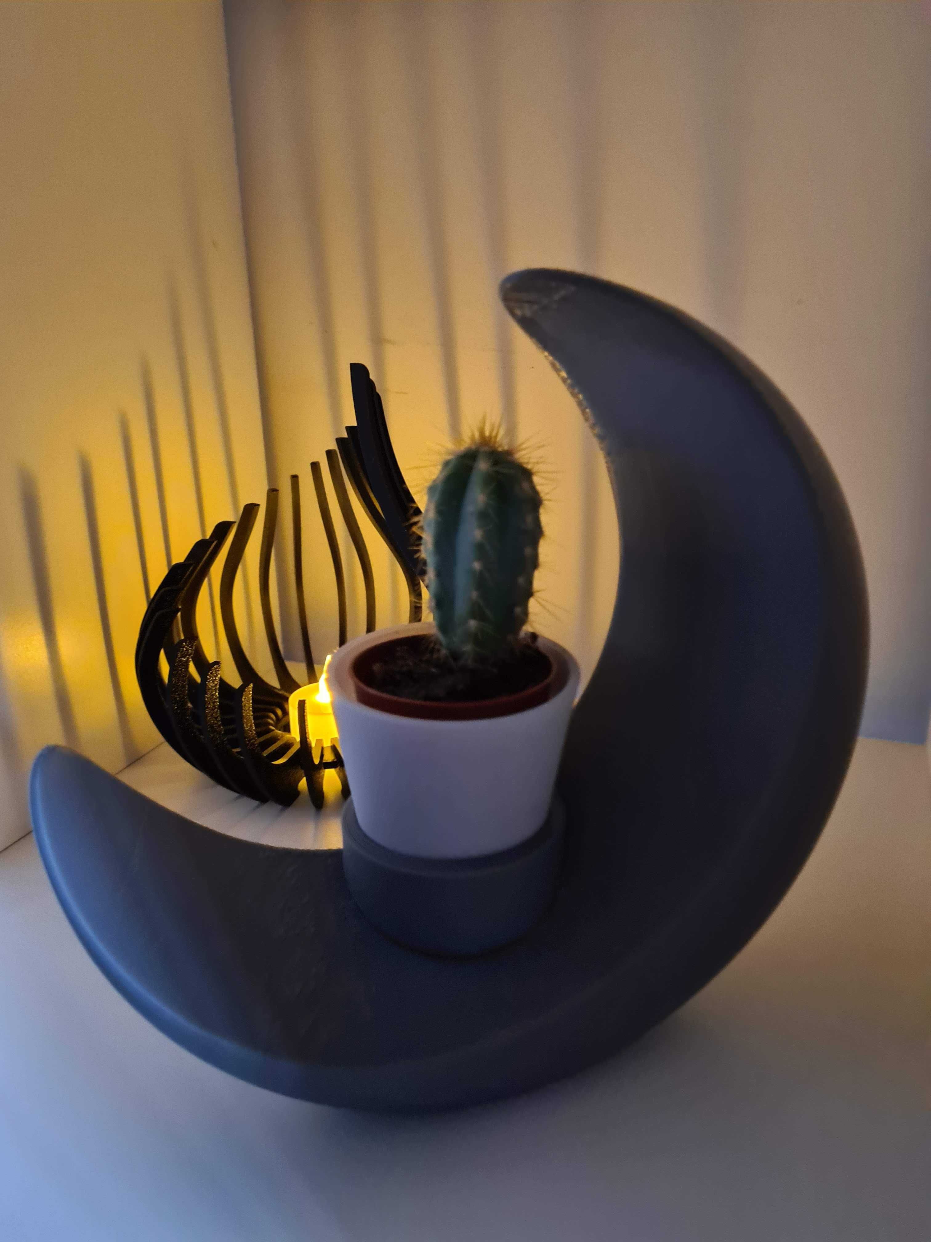 Vasos Entrelaçados Decoração casa Obra Prima Minimalista