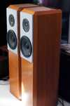 Kolumny podłogowe 120W- 8 ohm -vintage w drewnie