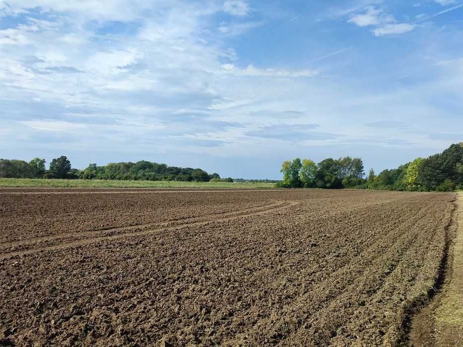 Uslugi Rolnicze Ciagnikiem Rolno /Leśne