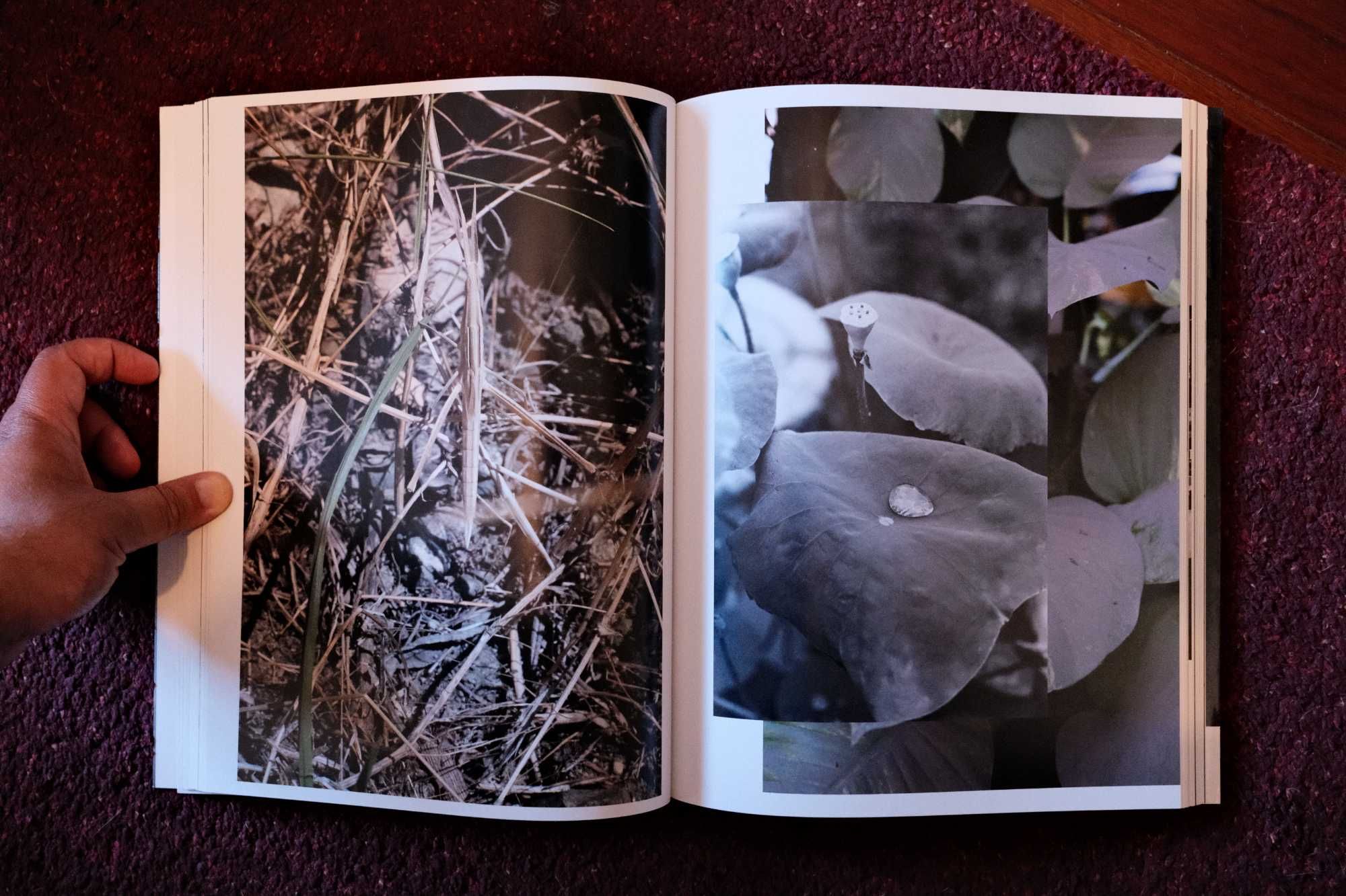 'Neue Welt', Wolfgang Tillmans (2012)