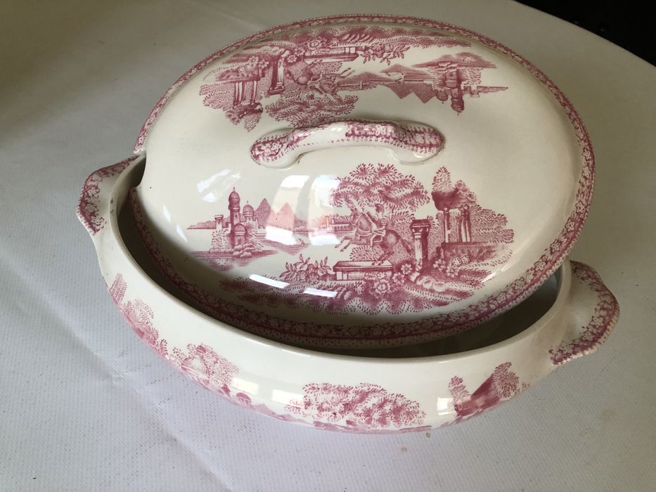 Terrina loica Sacavem