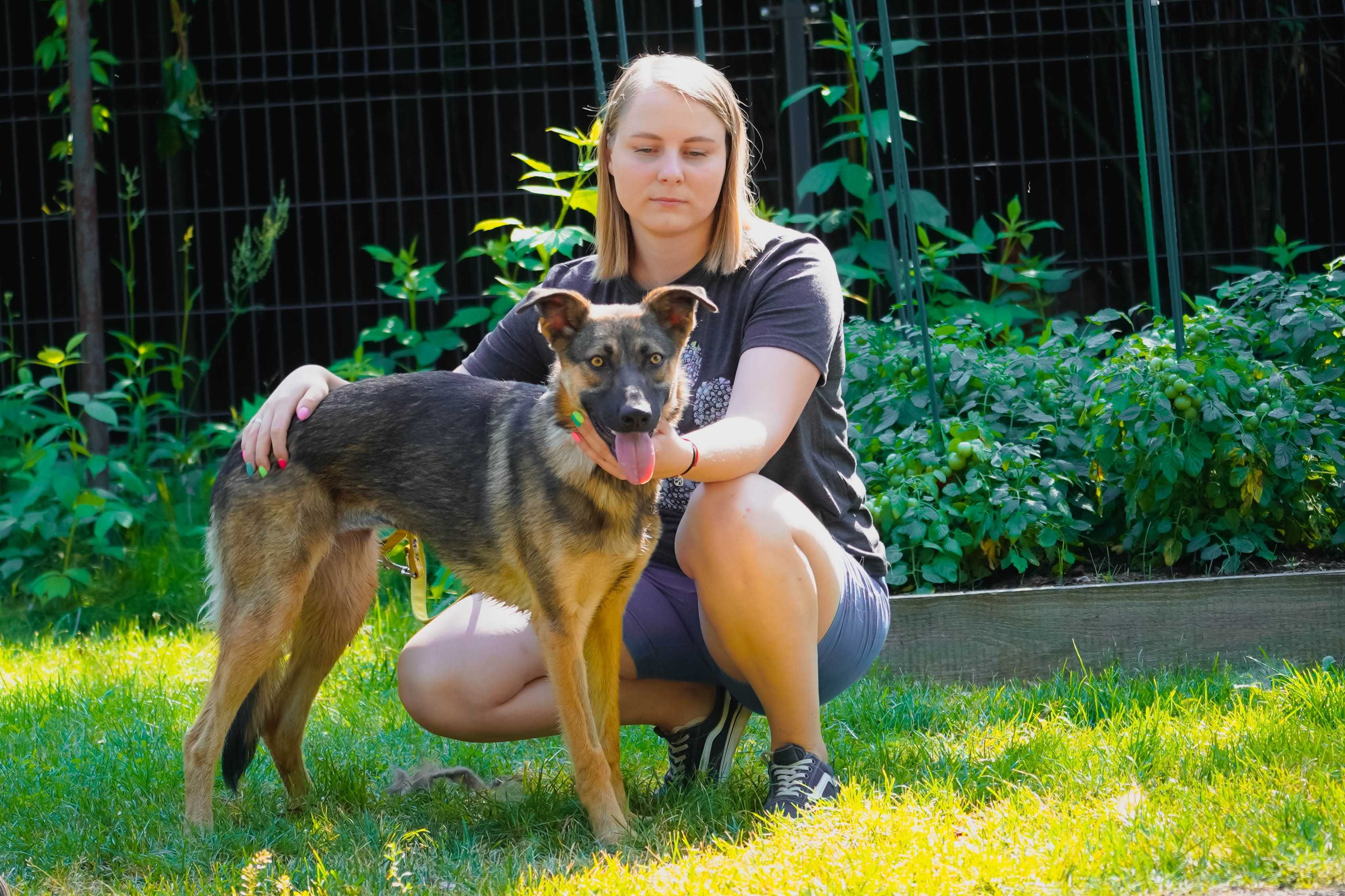 Dakota - mega fajna młoda sunia do adopcji