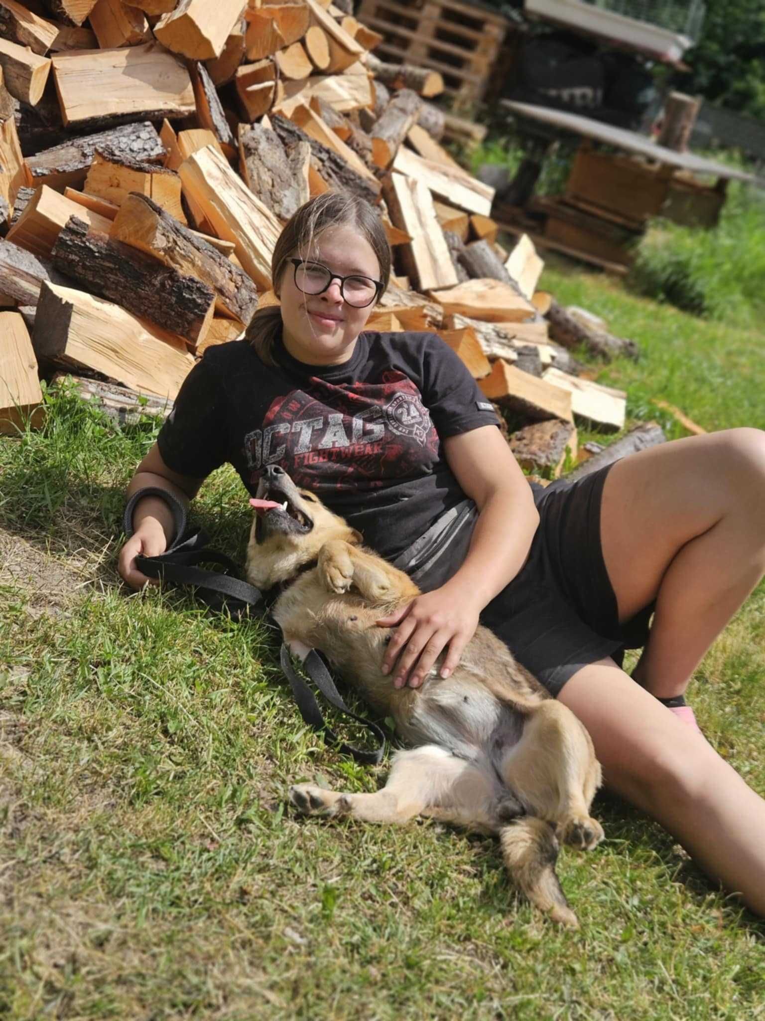 Gałka szuka domu schronisko Zgierz-aktualne