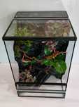 Terrarium dla gekona orzęsionego z wyposażeniem AquaWaves TW58WB