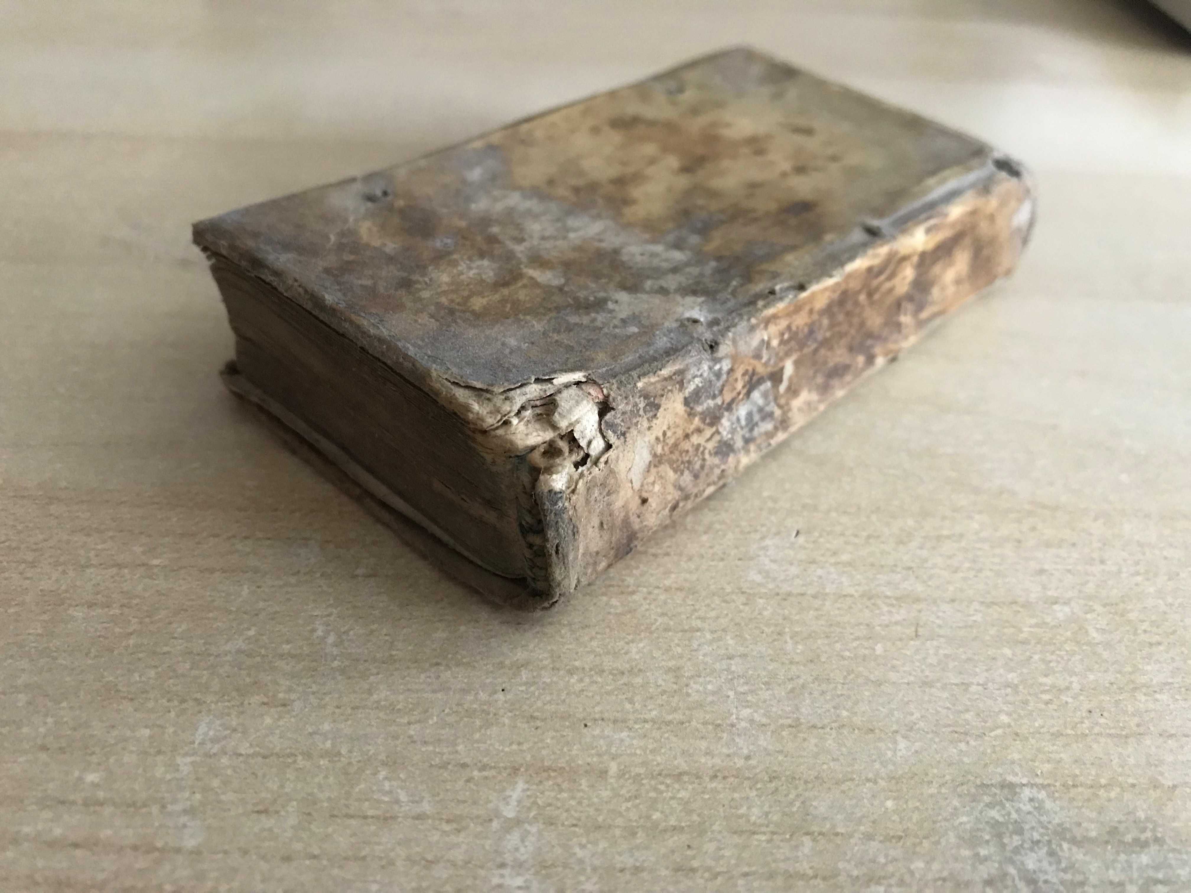 Historia Belgii z 1636 roku
