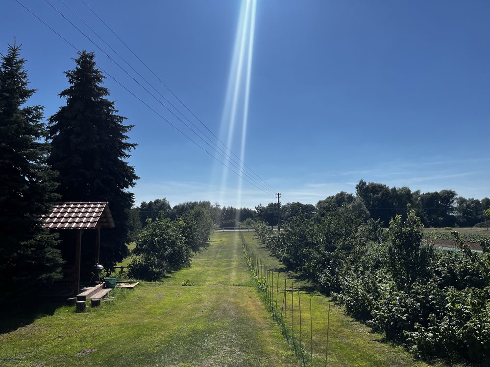 Agroturystyka Kobylnica nad Wisłą, nocleg, kemping, hotel, dla 6osób