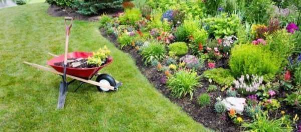 Manutenção de Jardins em Setúbal – Serviço Profissional e Confiável