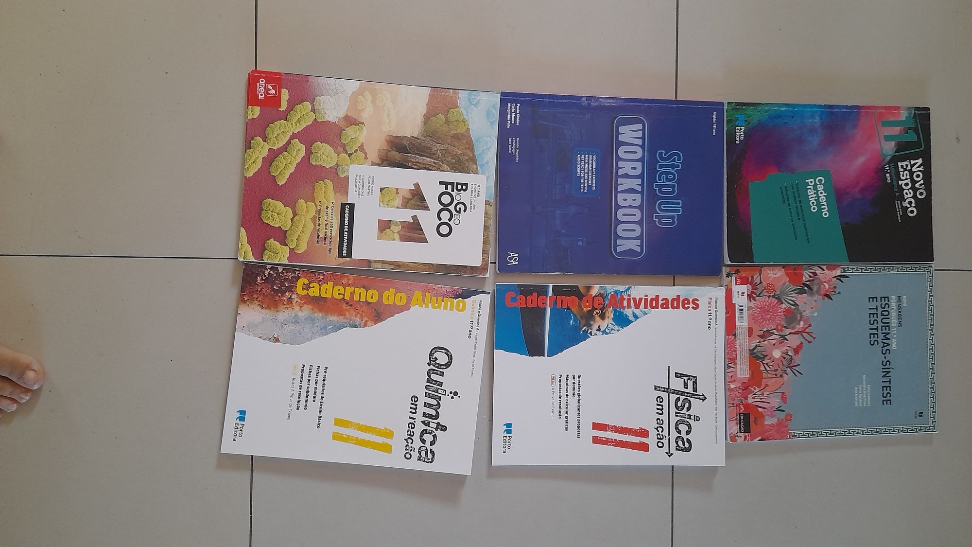 Livros/ cadernis de atividades do 11 ano