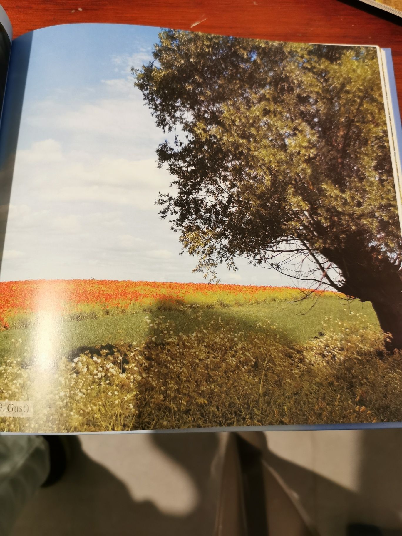 Obszary chronione powiatu Grudziądzkiego