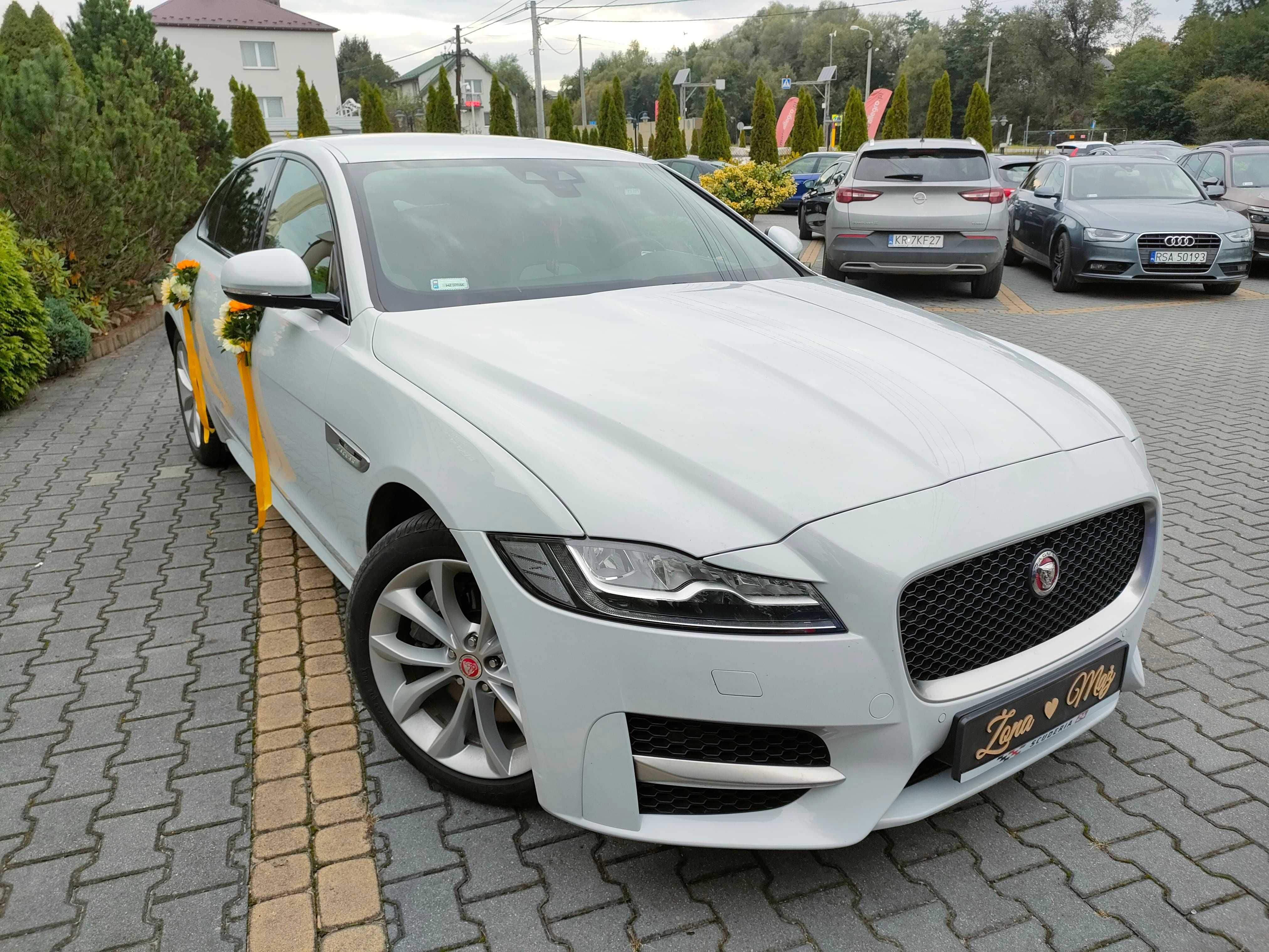 Jaguar XF na Ślub-Dostępne Terminy na 2024Rok