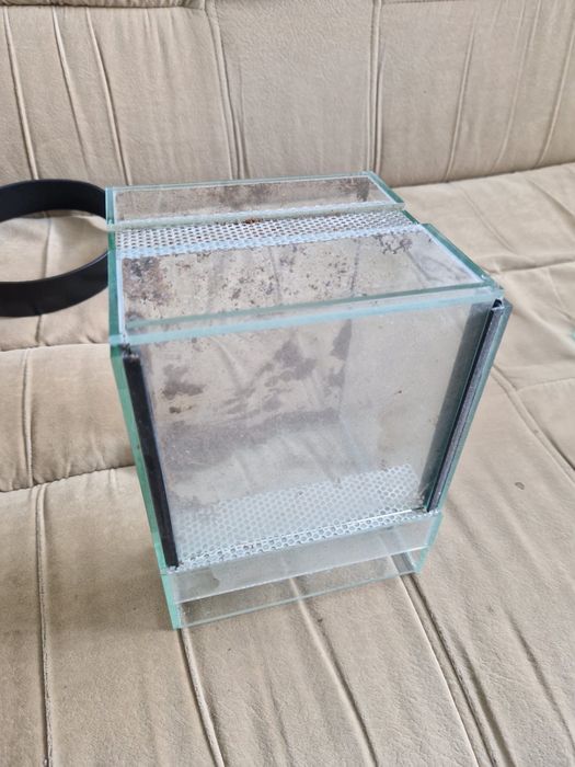 Terrarium 15x15x20