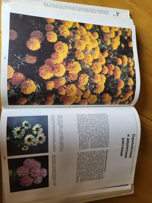 енциклопедія садовода