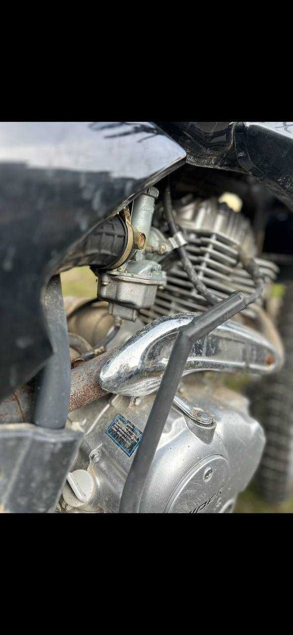 Viper V250L крос