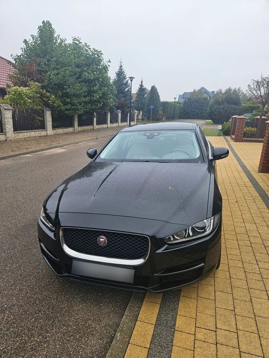 Jaguar XE Auto z polskiego salonu
